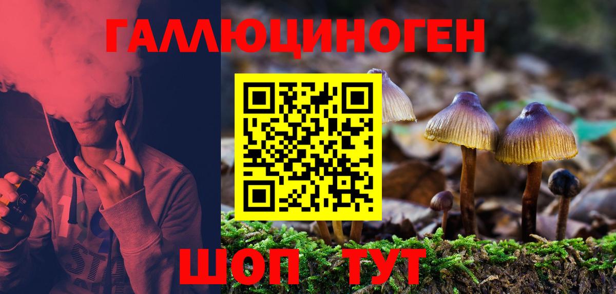 Первоуральск  Галлюциногенные грибы MAGIC MUSHROOMS  Галлюциногенные грибы GOLDEN TEACHER  купить наркоту  Вход с VPN 
